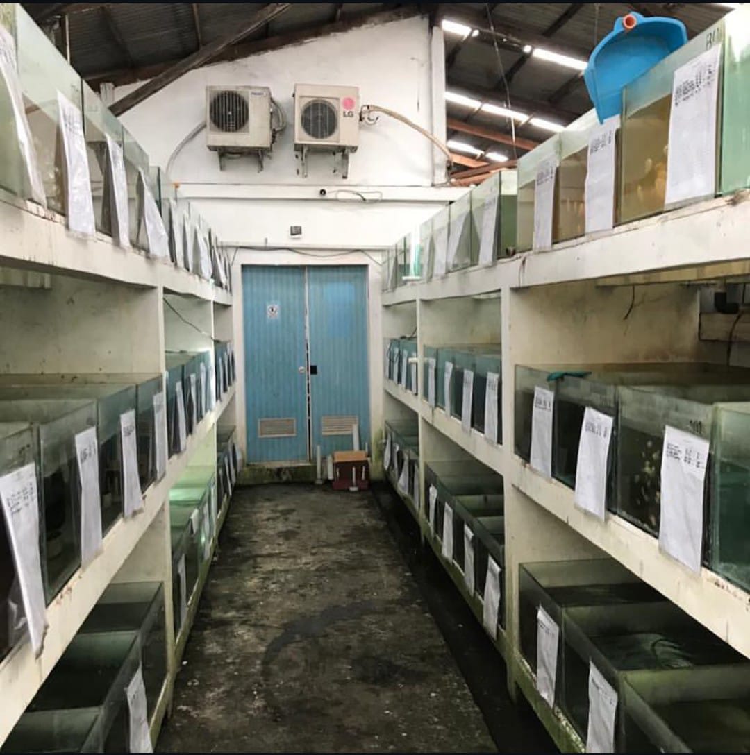 Our Farm 17