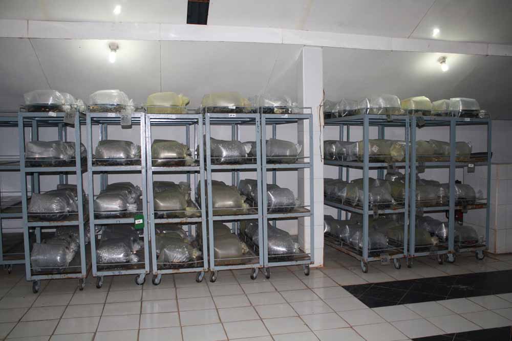 Quarantine Fish Room 2